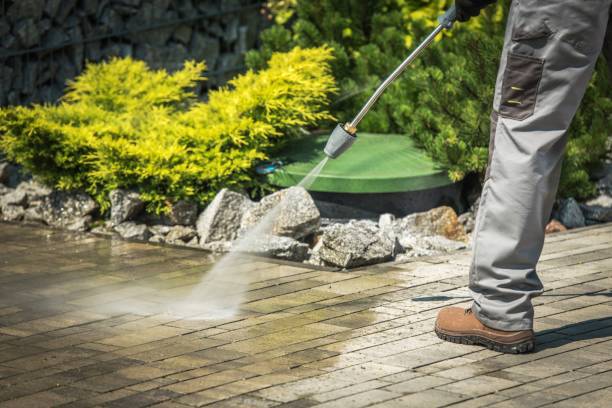 Best Soft Washing  in Red Oaks Mill, NY
